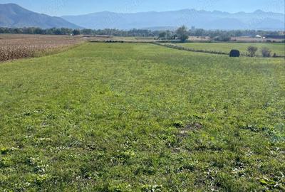Teren de 7500 mp, în Central - 5