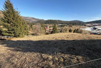 Teren Construcții intravilan de 12500 mp, în Galbena - 8