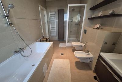 Luxury penthouse for rent close to the Center of Timisoara - 15