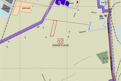 Teren Domnesti - Centura, ILFOV - 1