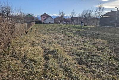 Casă cu Teren 1400 Mp în Mihai Eminescu - 3