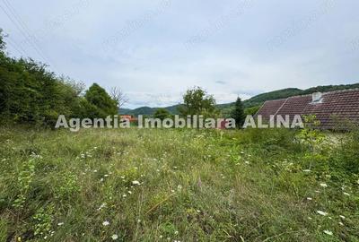 Teren intravilan 4.664 mp in Satul Boholt din Comuna Soimus, Jud. Hunedoara. - 5