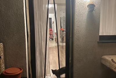 Casă cu 3 camere cu Teren 100 Mp în Central - 20