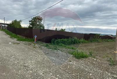 Teren 2,500mp Margineni / Prelungirea Crinului - 2