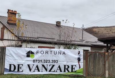 Casa , singur in curte la intrarea in ZIZIN - 13