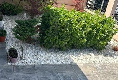 Duplex cu 3 camere cu Teren 310 Mp în Moșnița Nouă - 7