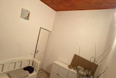 Apartament cu 3 camere/vedere superba catre Mun?ii Igni? - 11