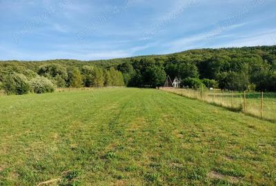 Teren de 5100 mp, în Lisnău - 2