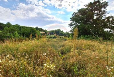 Casă / Vilă cu 2 camere de vânzare - 7