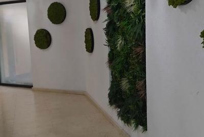 Garsonieră în Nord - 2