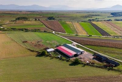 FILM! Zona extinsa, teren mixt,18.000 mp, ideal agro-investitii, Rotbav, Brasov - 14