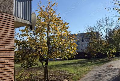 Buzias Timis apartament cu 1 camera de vanzare complet mobilat si izolat - 14