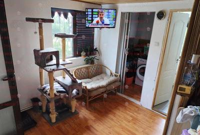 Casa P+1 400 mp teren Godeanu Carrefour Colosseum Casa P+1 400 mp teren Godeanu Carrefour Colosseum - 17