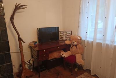 Apartament cu 2 camere semidecomandat în Băiuț - 4