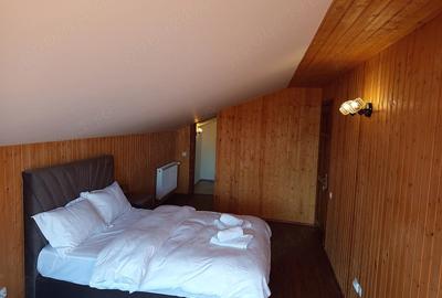 Casă cu 4 camere cu Teren 6240 Mp în Valea Mare - 1