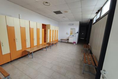 Spațiu comercial, de 250 mp, în Dumbrăvița - 4