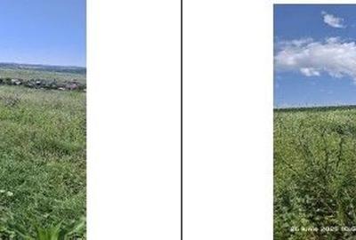 Teren de 13700 mp, în Bălteni - 5