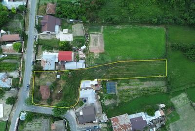 Casă individuală cu 3 camere cu Teren 2100 Mp în Vulturu - 2