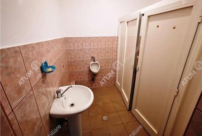 Casa si hale industriale - 475 mp utili in Cisnadie langa Sibiu - 20