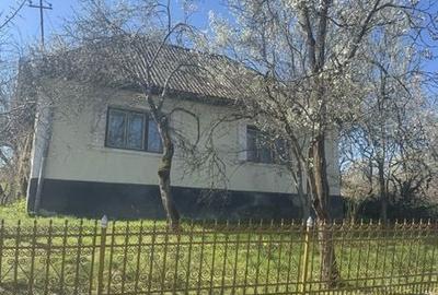 Casă cu 3 camere cu Teren 120 Mp în Băița - 4