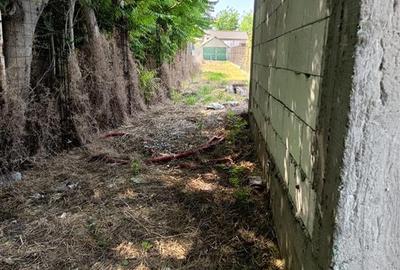 Vand teren intravilan comuna Corbu 1000mp - 5