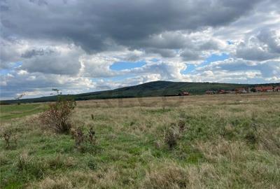 RECO Casa noua la 6 km de Oradea, in Rontau - 26