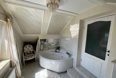 Casa Mocira - Baia Mare mobilata - utilata - 4