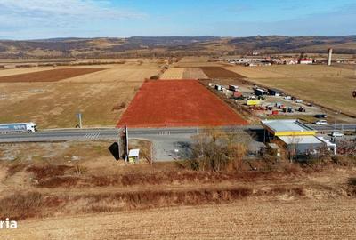 Teren de 11500 mp, în Central - 2