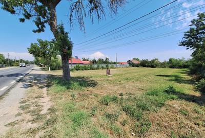 Teren Construcții intravilan de 1200 mp, în Dârza