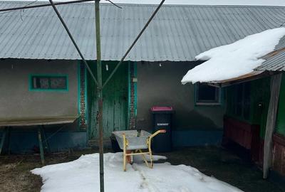 Casă cu Teren 2400 Mp în Toporu - 9