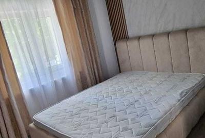 Apartament cu 3 camere semidecomandat, mobilat în Lipovei - 2