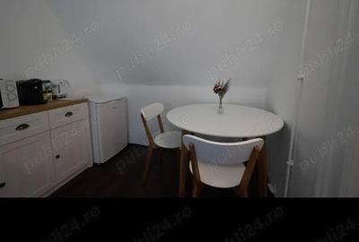 Garsoniera de inchiriat Sibiu zona centrala - 3