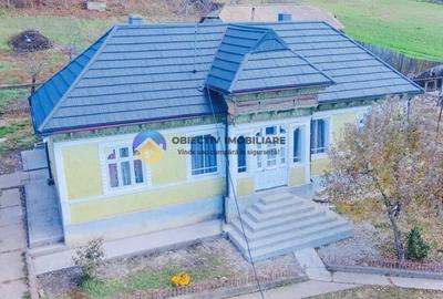 CASĂ + teren 3000 mp de vanzare - COSTIȘA - 2