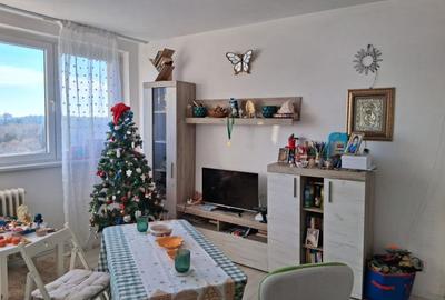 Apartament 2 Camere Campia Libertatii IOR Panoramic - 1