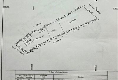 Casă cu 5 camere cu Teren 2867 Mp în Păunești - 2