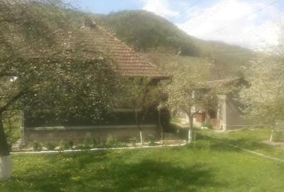 Casă cu 3 camere în Criș - 5