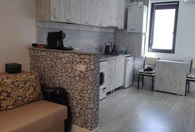 Apartament cu 2 camere semidecomandat în Central - 3