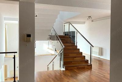 Oportunitate de afacere: spa?iu de inchiriat 650 mp in Arad - 2