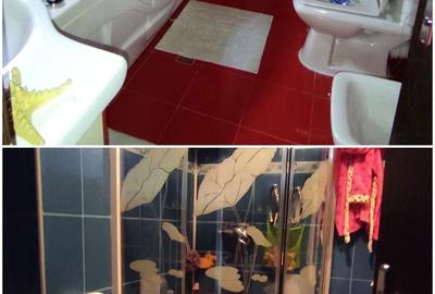 Apartament cu 3 camere decomandat în Andrei Mureșanu - 4