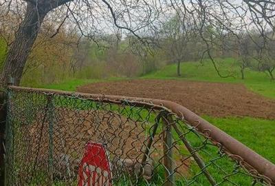 Spațiu comercial, în Oituz - 2