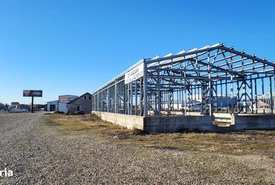 Teren de 7010 mp, în Oșorhei - 3