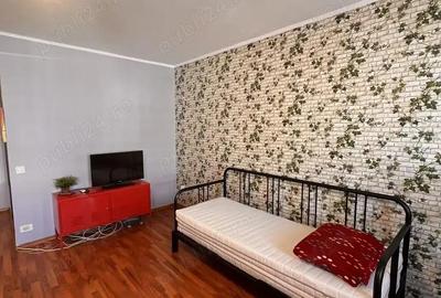 Garsoniera campia libertatii - 3