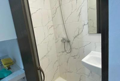 Garsonieră nedecomandată în Buziașului - 3