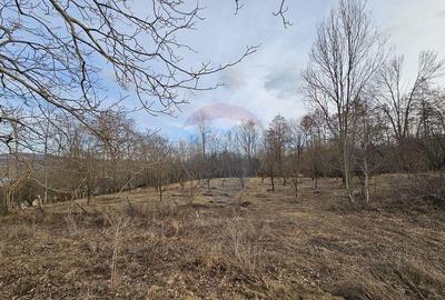 Teren Plaiu_Provita de Sus- intravilan 5373 mp_deschidere... - 6