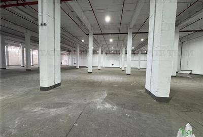 Hala  industriala de inchiriat  in Drumul Taberei / Sector 6 Hala  industriala de inchiriat  in Drumul Taberei / Sector 6 - 1