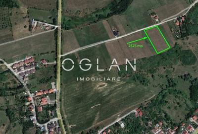 Teren Intravilan Intrare Cisnadie 2325 mp deschidere 25 ml - 2