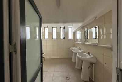 Birou, de 20,000 mp, în Baza 3 - 12