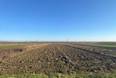 Teren 5000 mp, Valea Mare, Babeni DN64 - 7