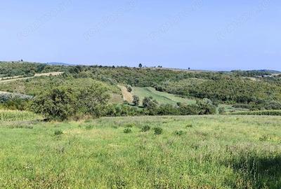 Casă cu 5 camere cu Teren 4700 Mp în Calea Mare - 3