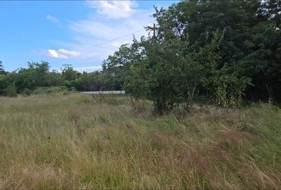 Spațiu comercial, în Viile Satu Mare - 3